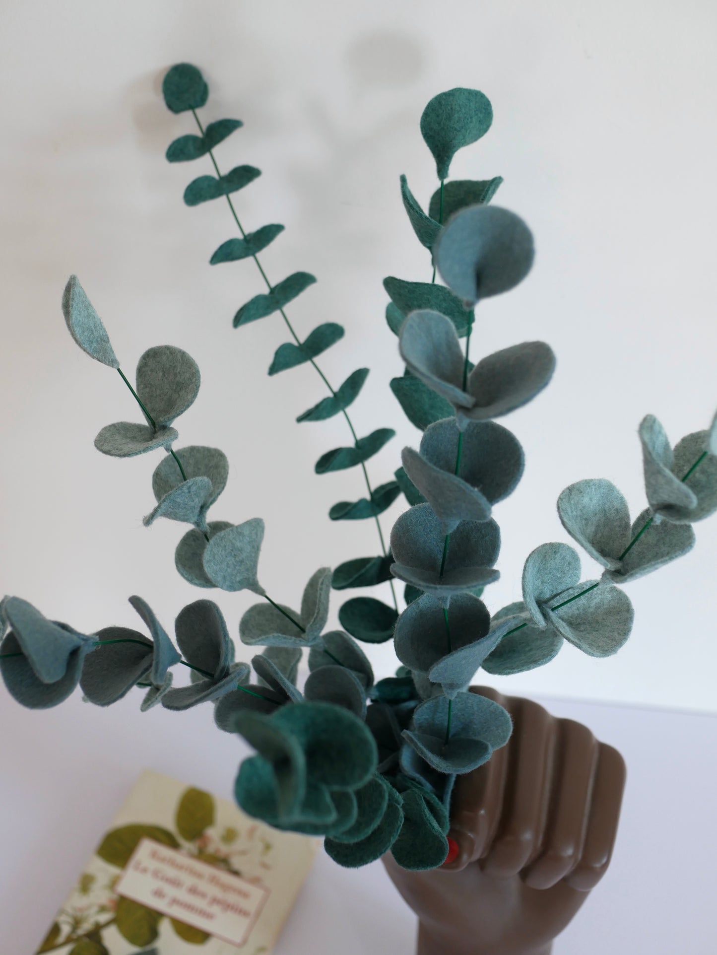 Danse d’eucalyptus