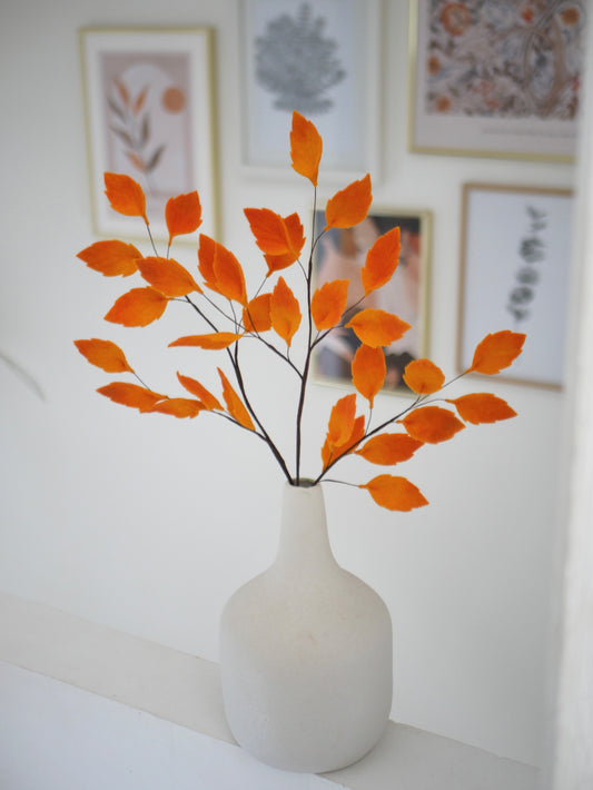 Branches d’automne