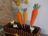 Bouquet de carottes